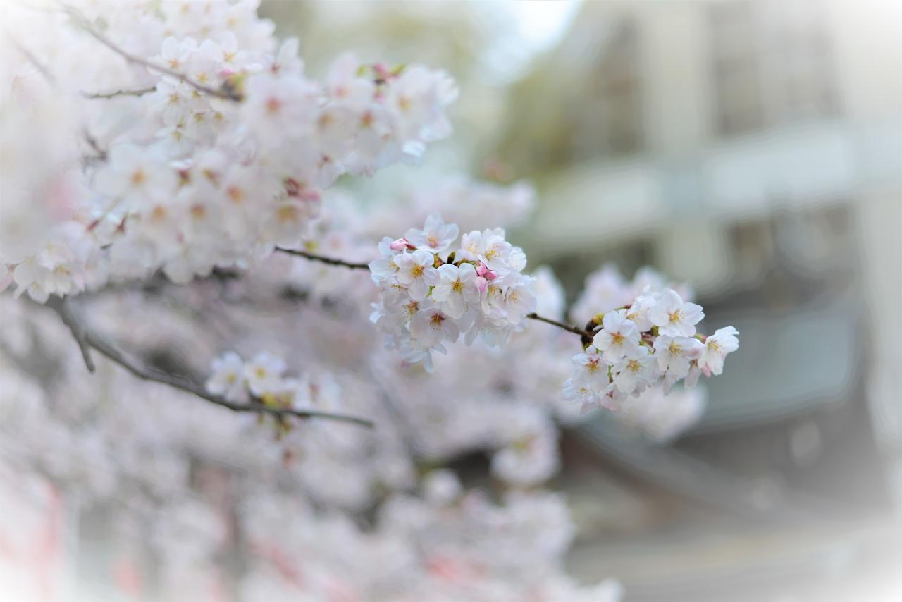 Hotel Plaza Umeshin Kitashinchi โอซาก้า ภายนอก รูปภาพ